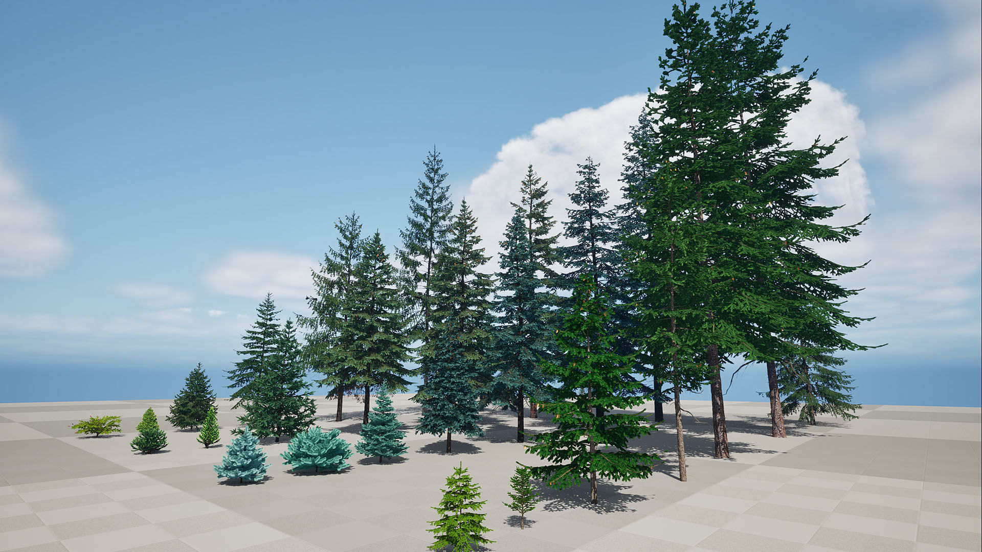 AB3D Plants Volume 8 Spruces for UE 5 28 types 3D model_19