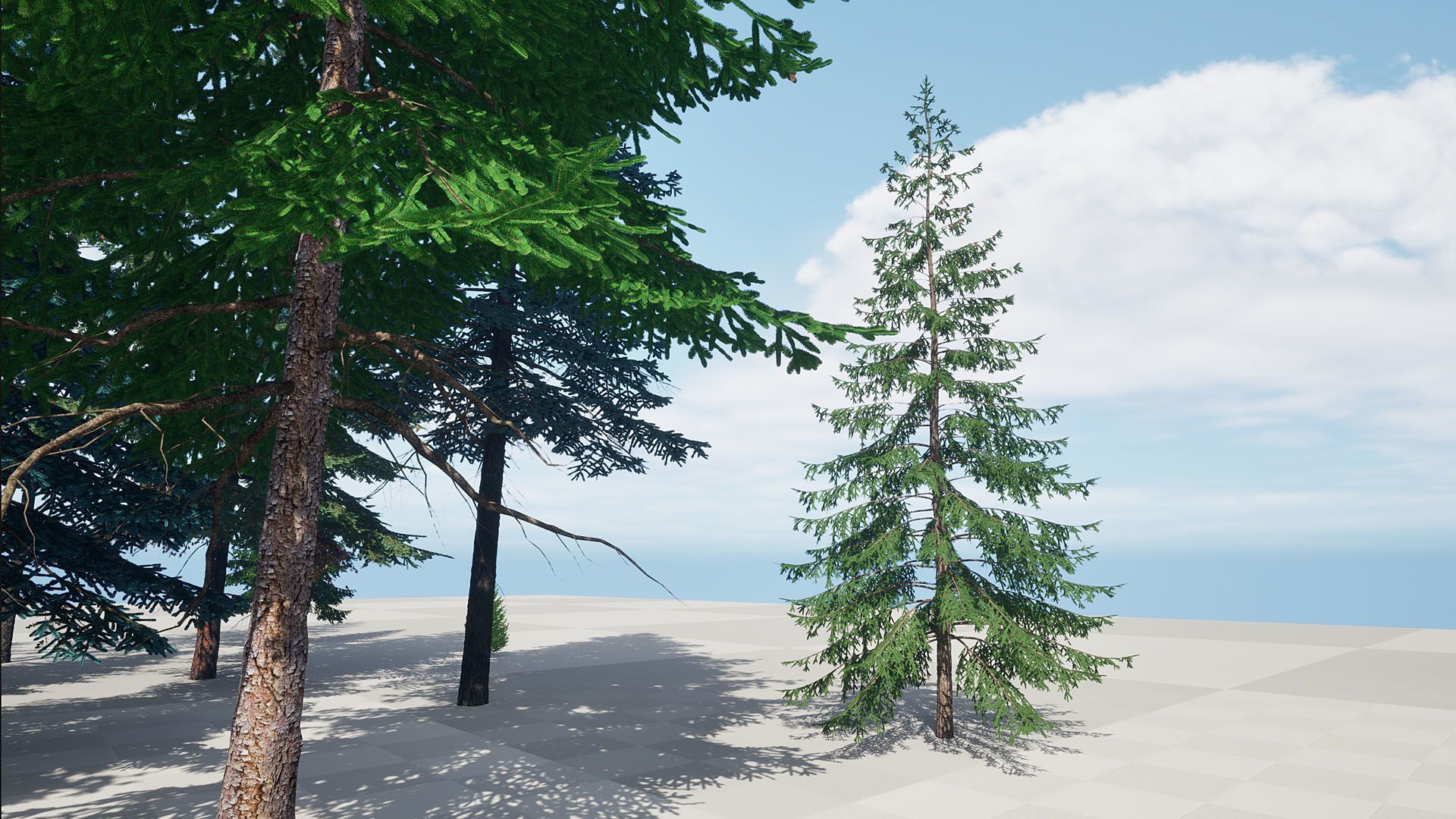 AB3D Plants Volume 8 Spruces for UE 5 28 types 3D model_16