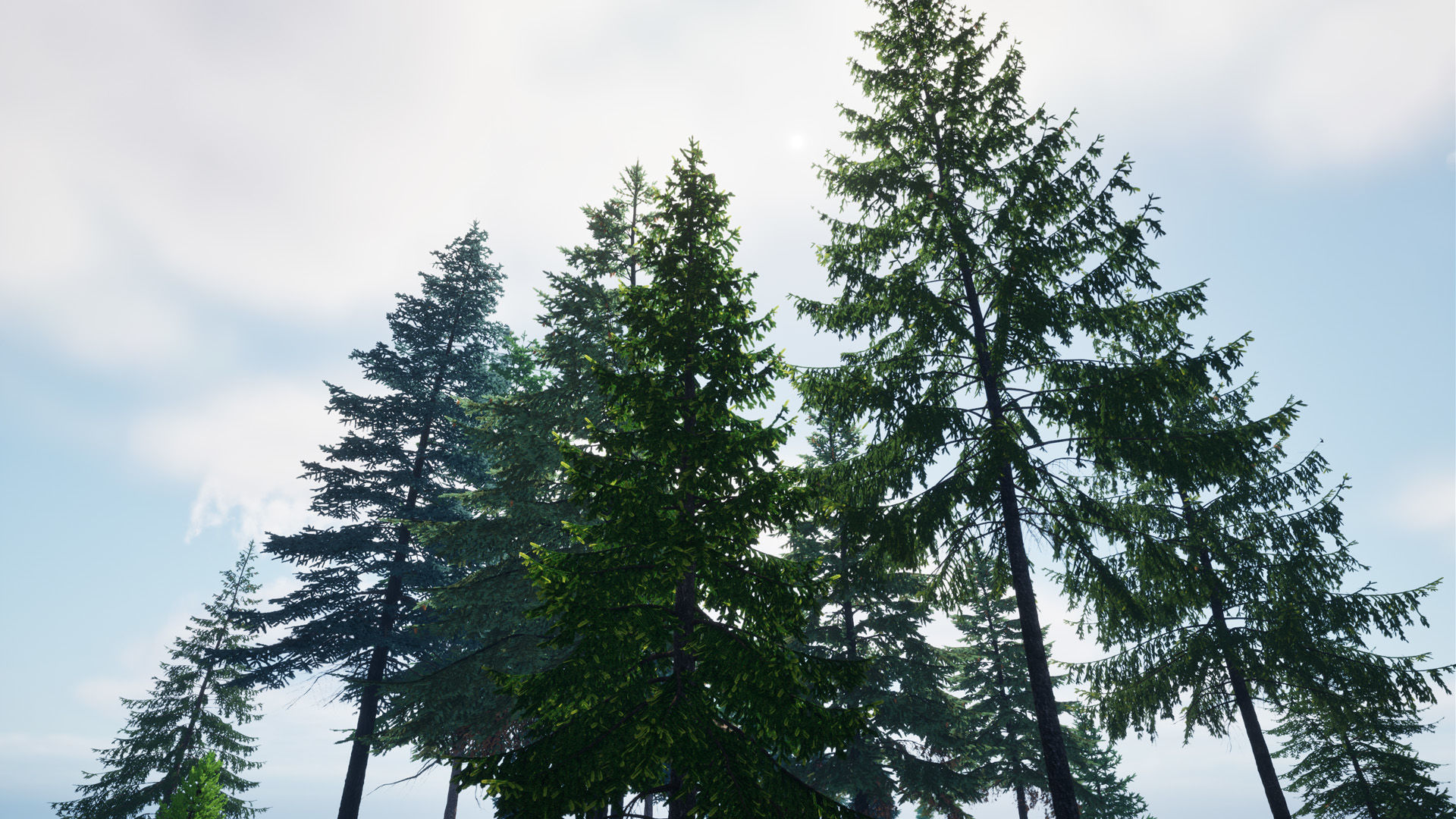 AB3D Plants Volume 8 Spruces for UE 5 28 types 3D model_10