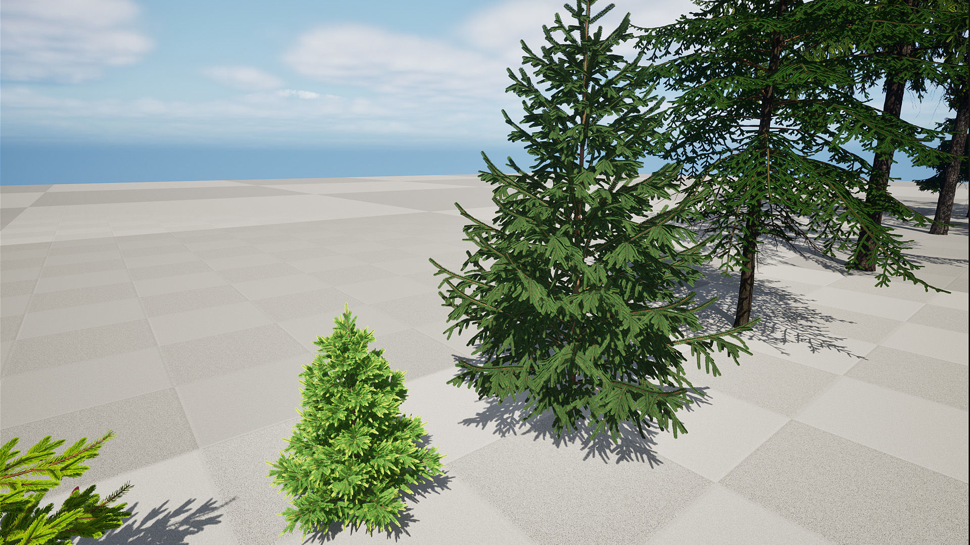 AB3D Plants Volume 8 Spruces for UE 5 28 types 3D model_7