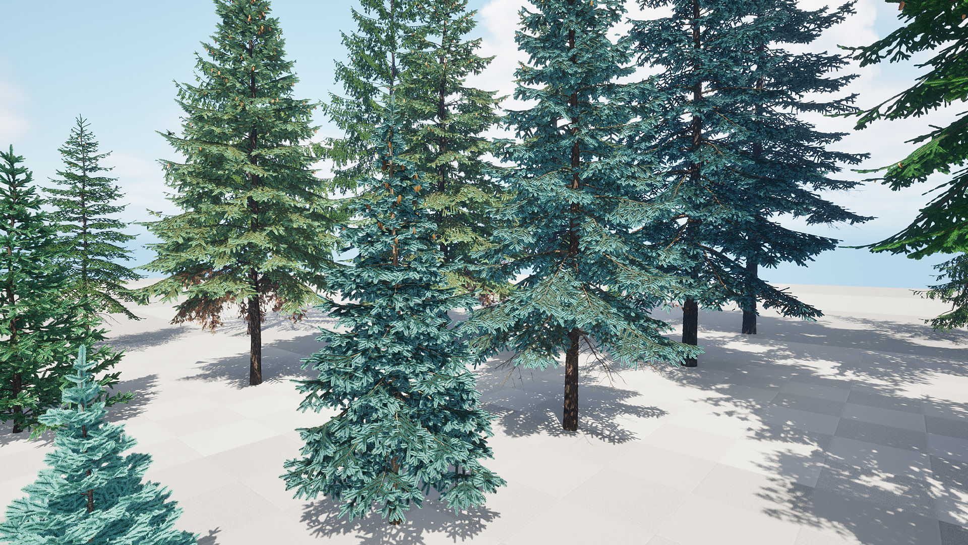 AB3D Plants Volume 8 Spruces for UE 5 28 types 3D model_13