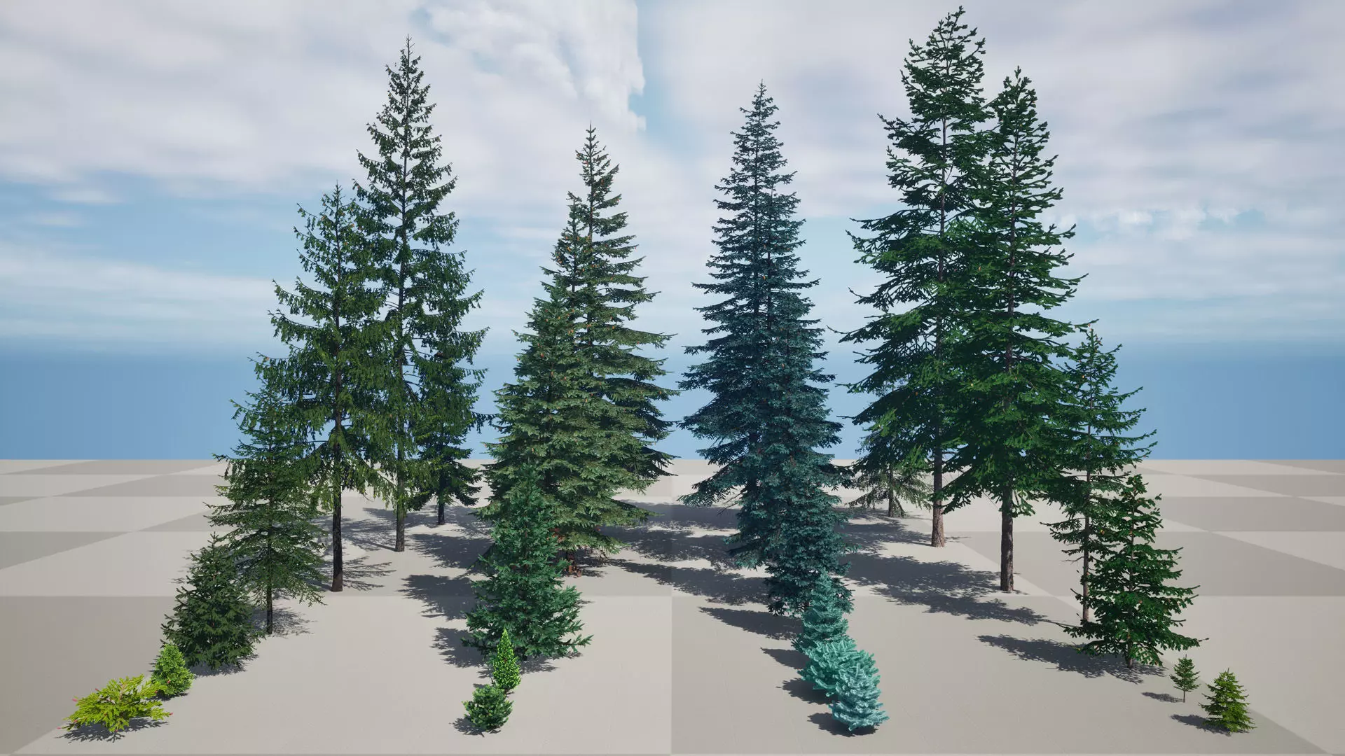 AB3D Plants Volume 8 Spruces for UE 5 28 types 3D model_0