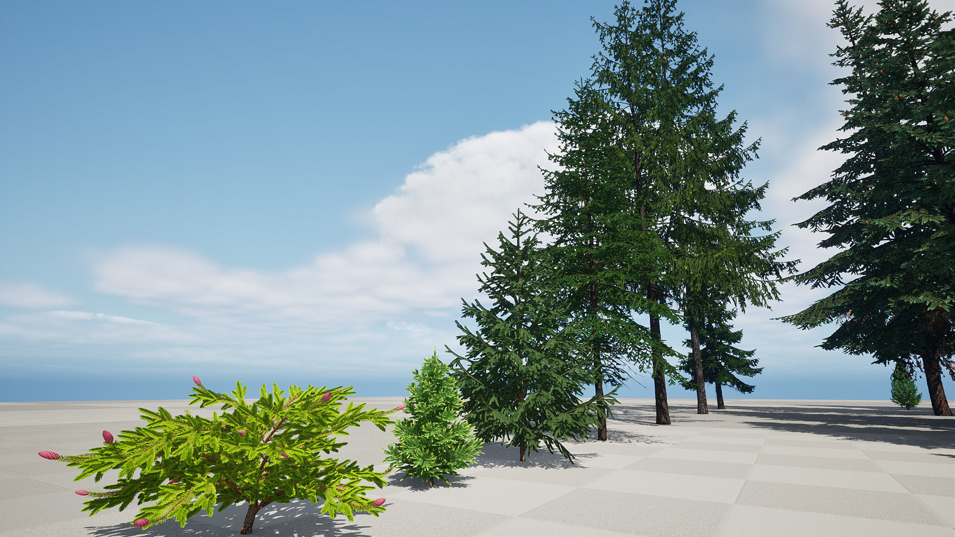 AB3D Plants Volume 8 Spruces for UE 5 28 types 3D model_6