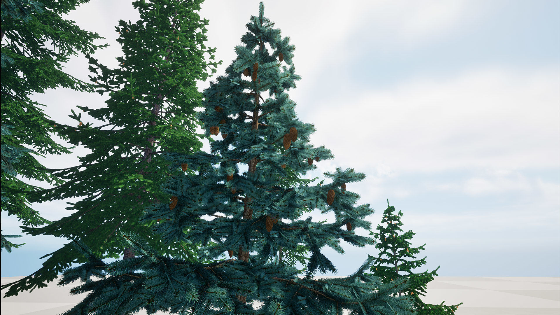 AB3D Plants Volume 8 Spruces for UE 5 28 types 3D model_14