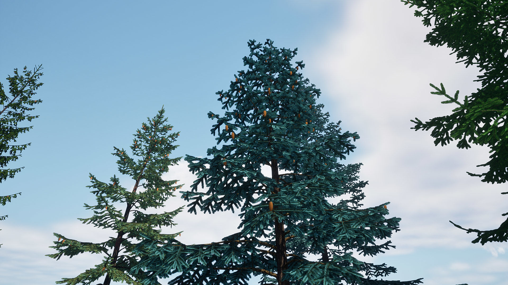 AB3D Plants Volume 8 Spruces for UE 5 28 types 3D model_15