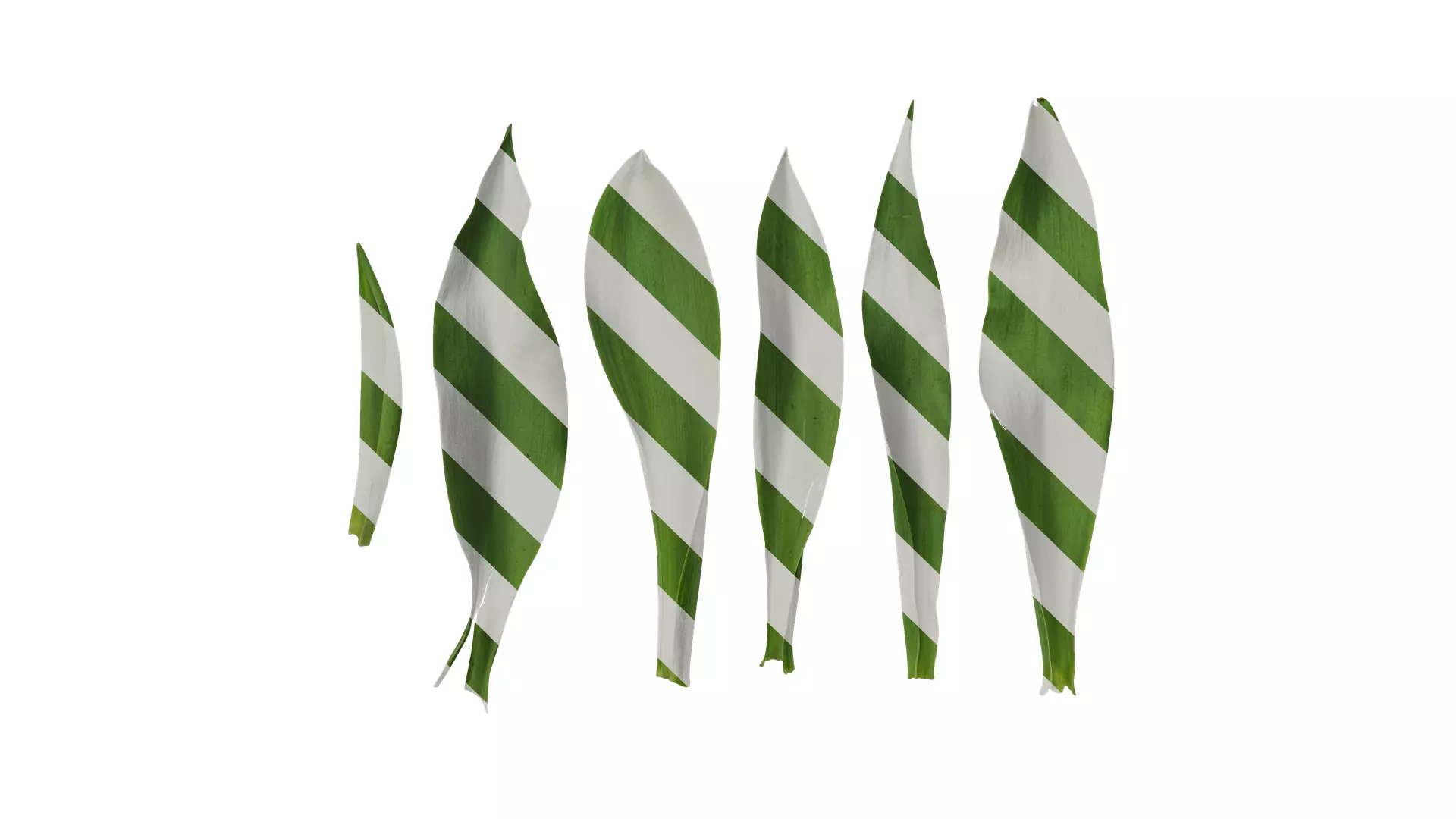 Anydrafts Tulipa gesneriana Leaf 01 Texture_0