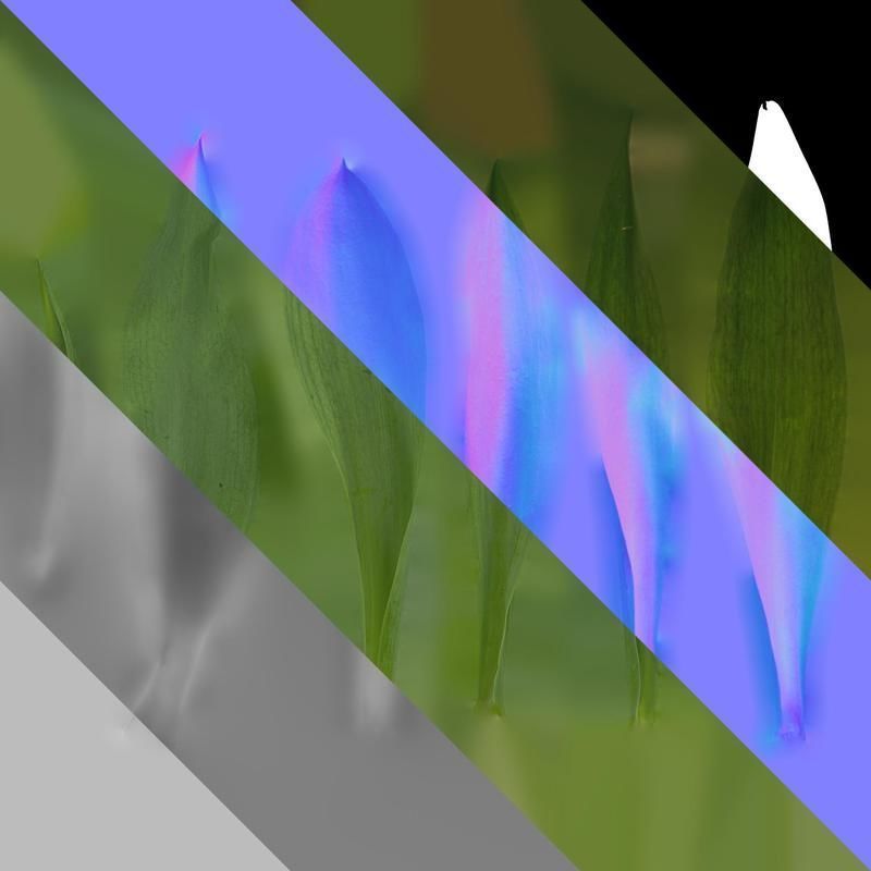 Anydrafts Tulipa gesneriana Leaf 01 Texture_8