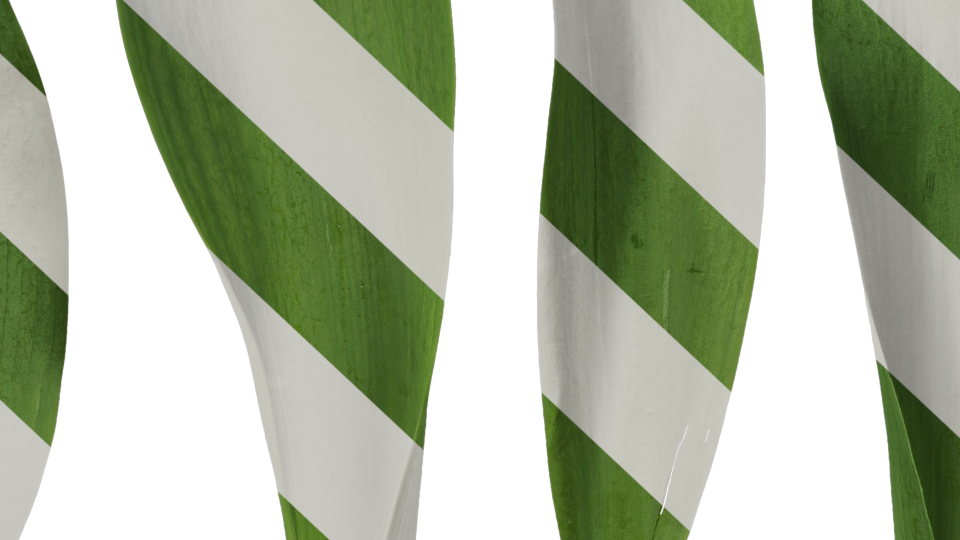 Anydrafts Tulipa gesneriana Leaf 01 Texture_7