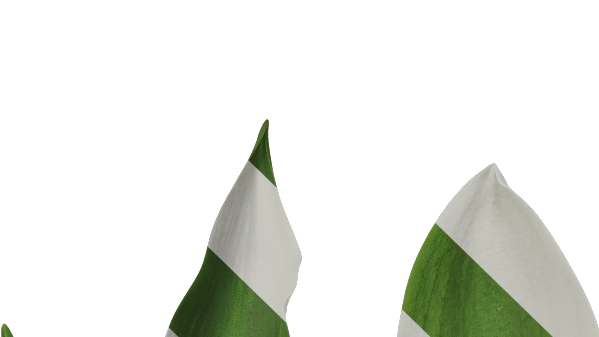 Anydrafts Tulipa gesneriana Leaf 01 Texture_1