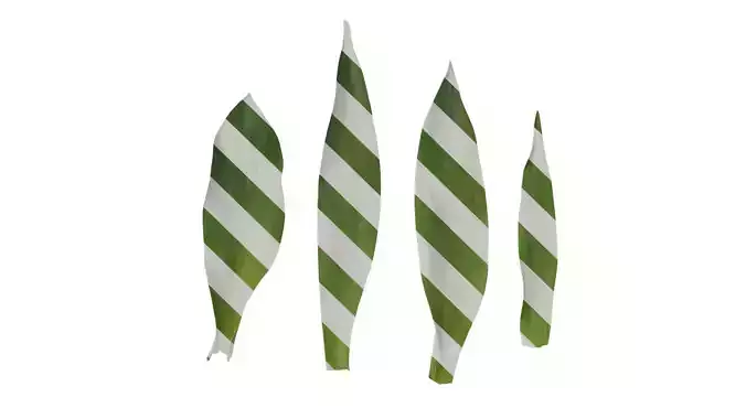 Anydrafts Tulipa gesneriana Leaf 02