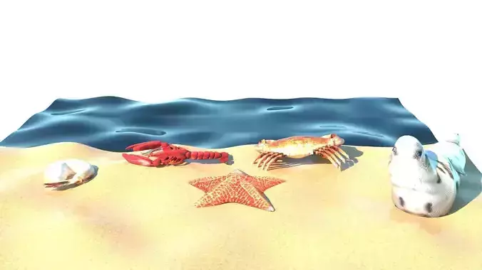 Beach Animals On The Beach Shore