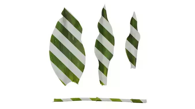 Anydrafts Tulipa gesneriana Leaf 04