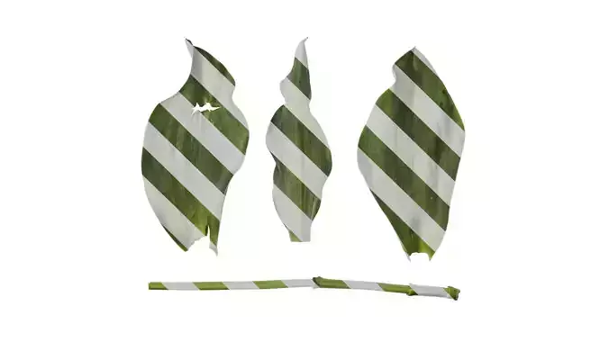 Anydrafts Tulipa gesneriana Leaf 05