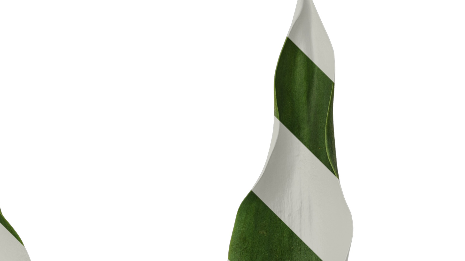 Anydrafts Tulipa gesneriana Leaf 06 Texture_2