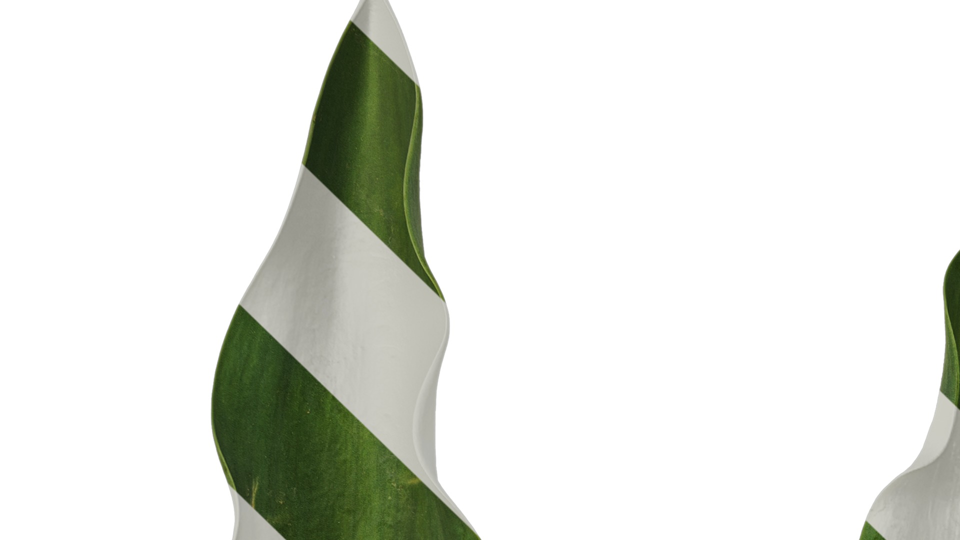 Anydrafts Tulipa gesneriana Leaf 06 Texture_1