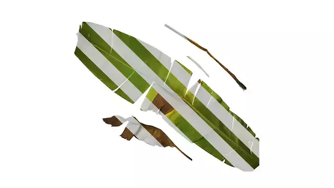 Anydrafts Musa basjoo Leaf 01