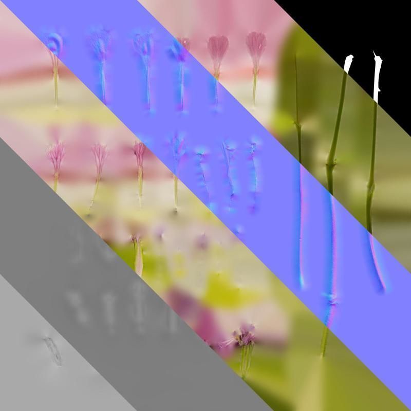 Anydrafts Vaccaria hispanica Flower 01 Texture_8