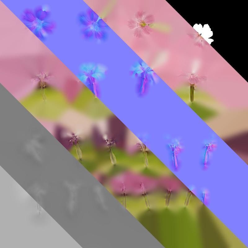 Anydrafts Vaccaria hispanica Flower 02 Texture_8