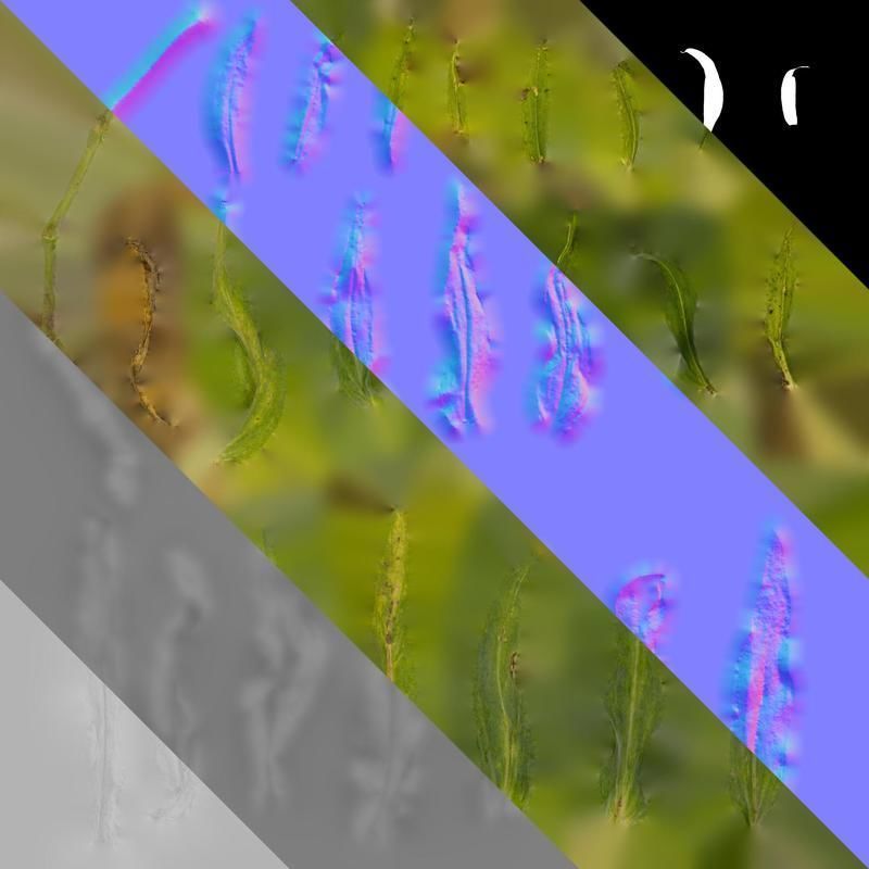 Anydrafts Vaccaria hispanica Leaf 03 Texture_8