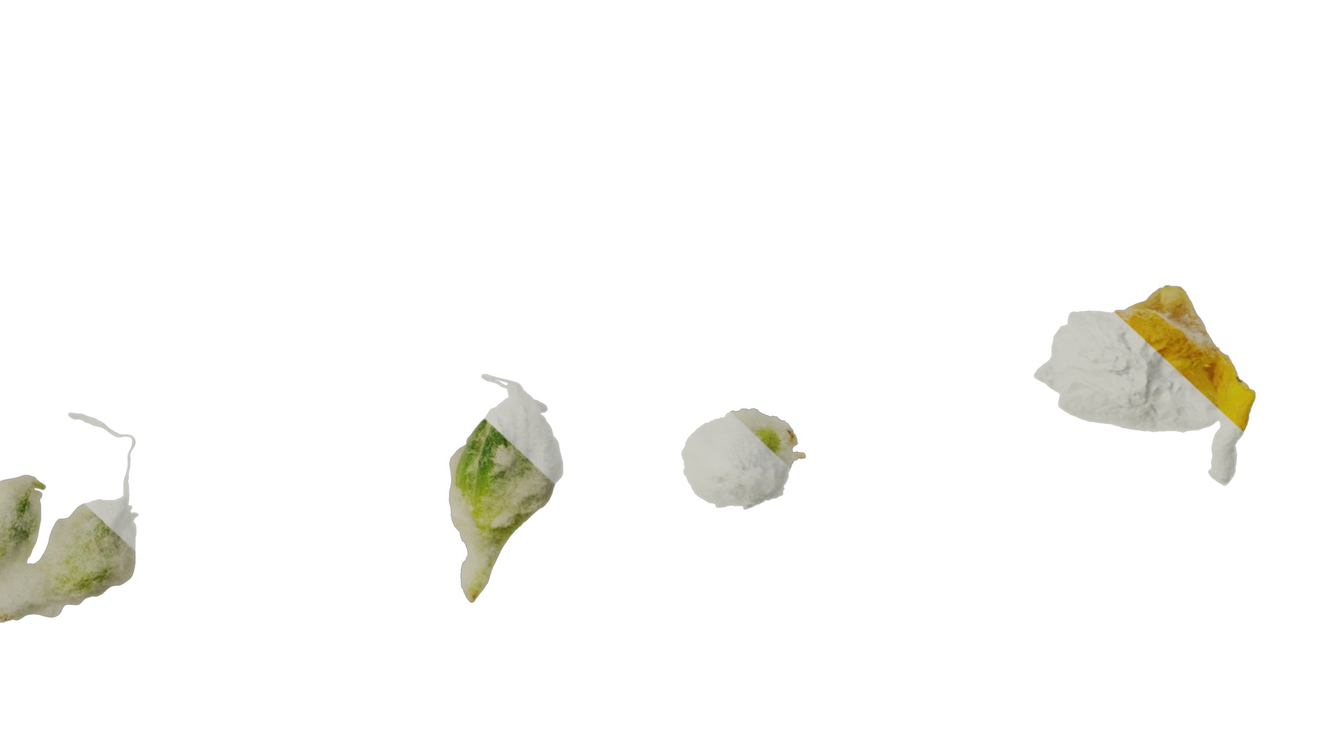 Anydrafts Verbascum chaixii Flower 01 Texture_6