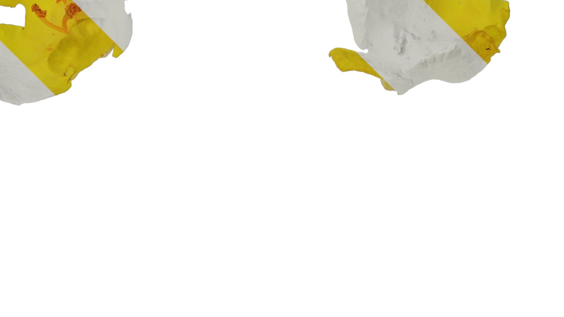 Anydrafts Verbascum chaixii Flower 01 Texture_2