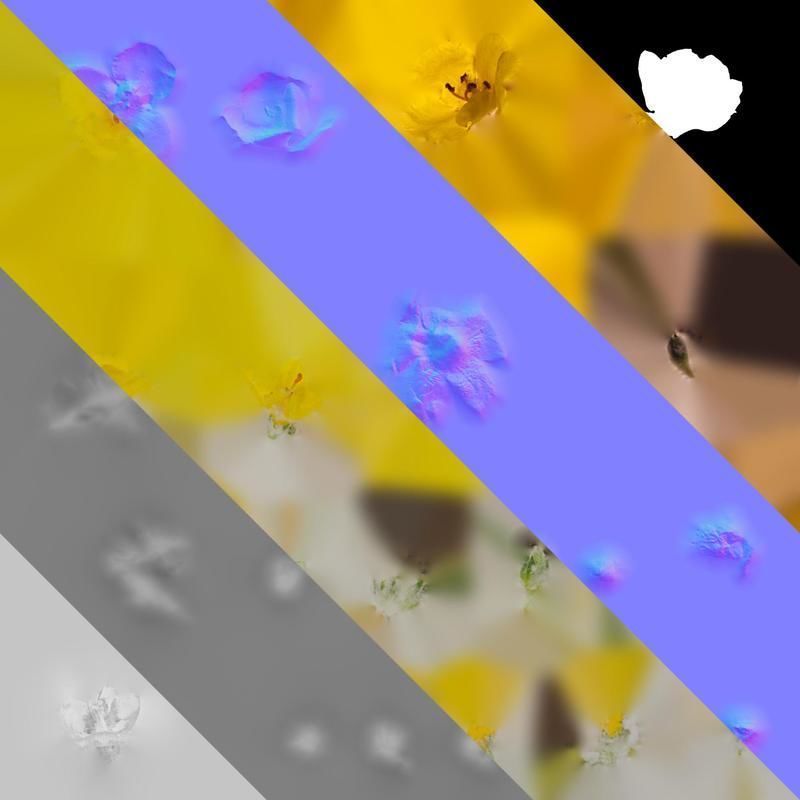 Anydrafts Verbascum chaixii Flower 01 Texture_8