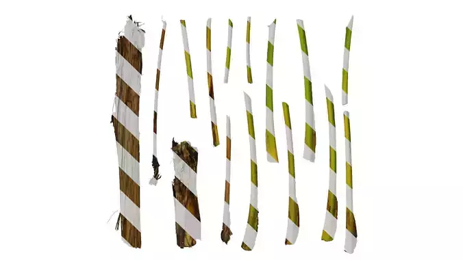 Anydrafts Musa basjoo Trunk 01