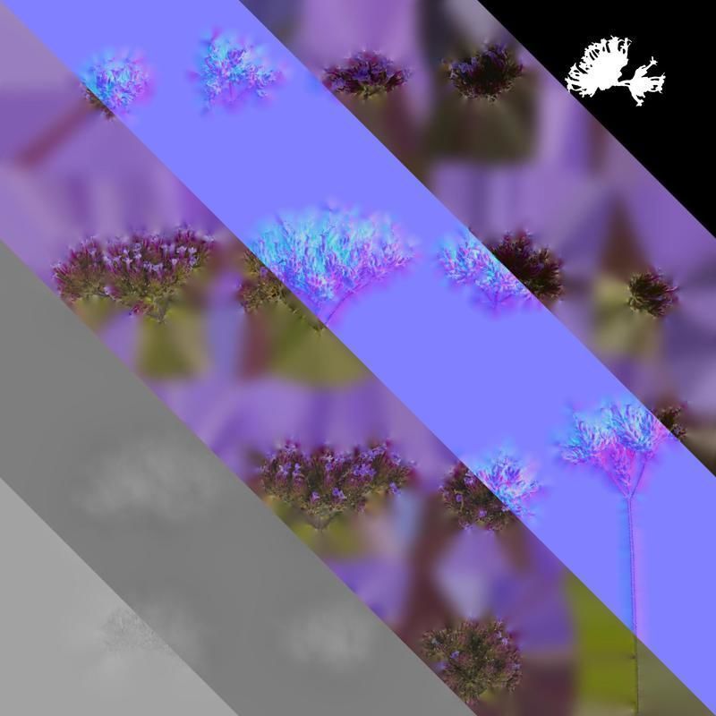 Anydrafts Verbena bonariensis Flower 02 Texture_8