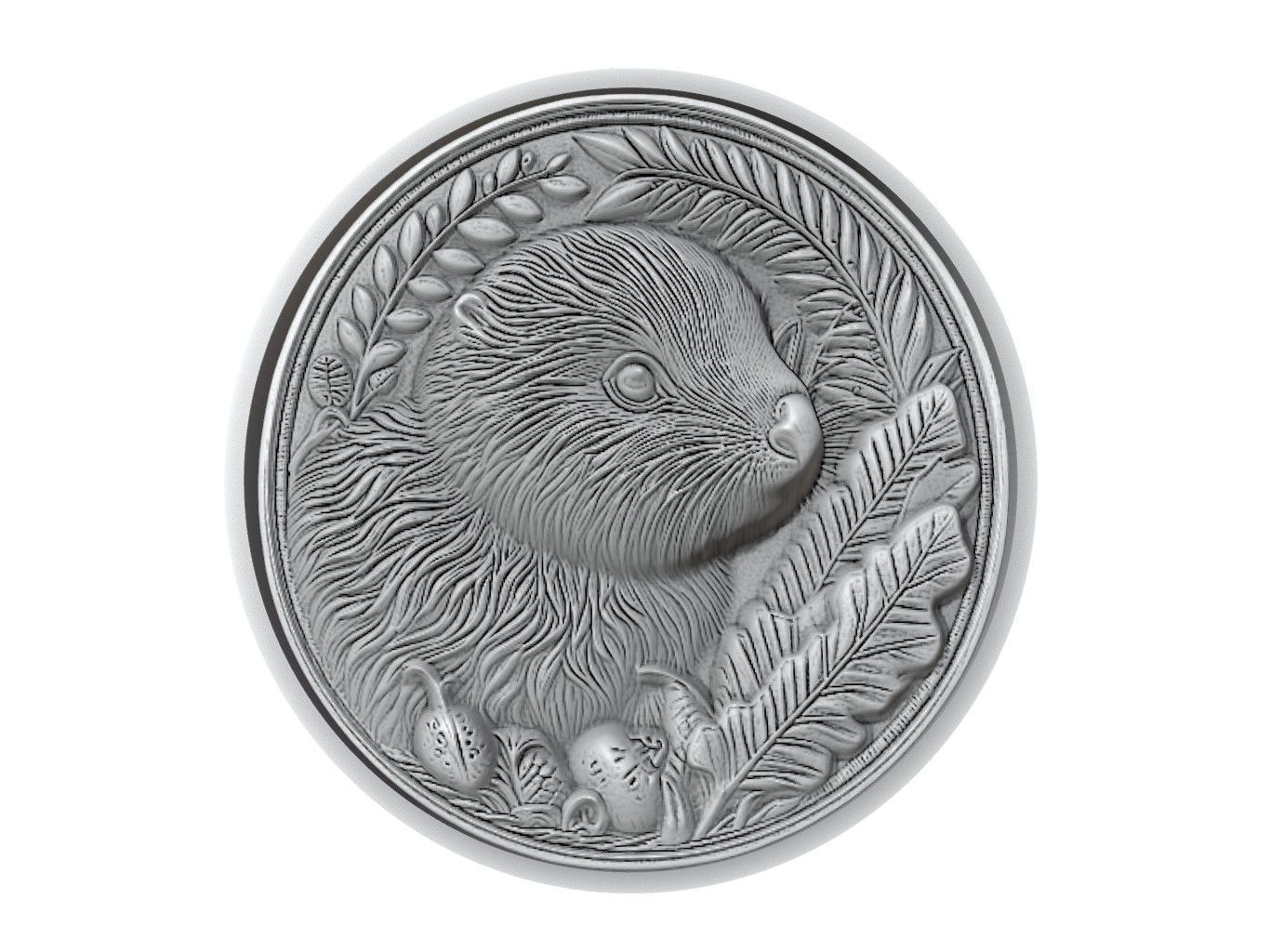 Kiwi Animal Medallion 3D print model_2