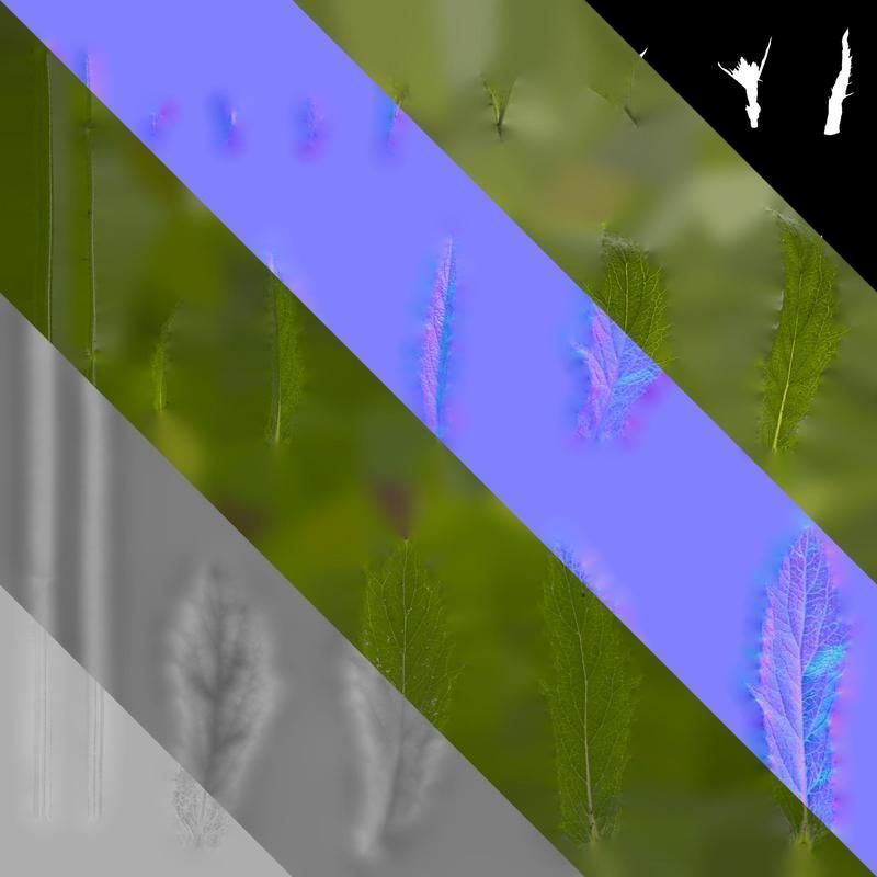 Anydrafts Verbena bonariensis Leaf 01 Texture_8