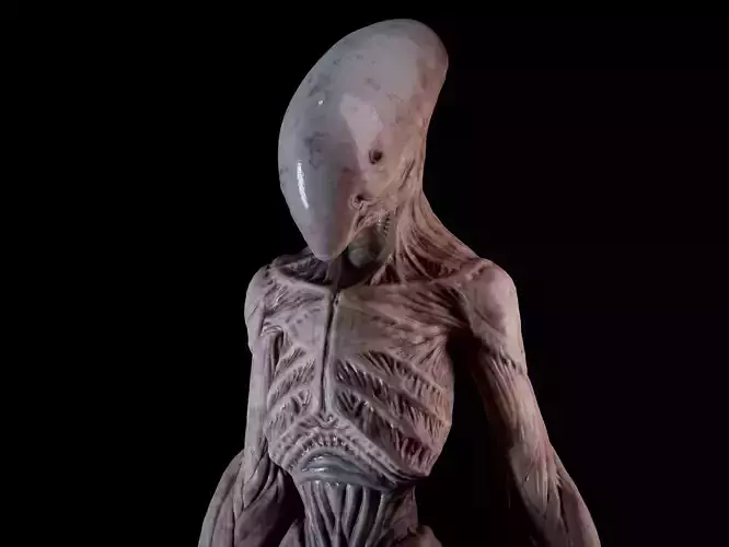 Alien Creature 3D model