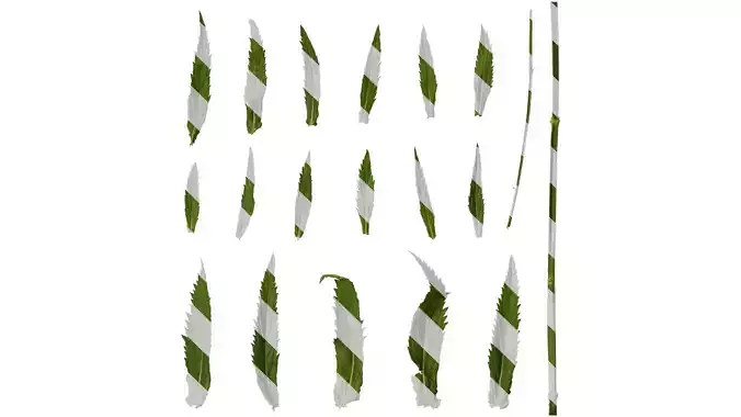 Anydrafts Verbena bonariensis Leaf 02