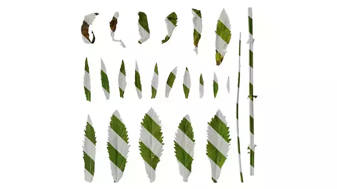 Anydrafts Verbena bonariensis Leaf 03