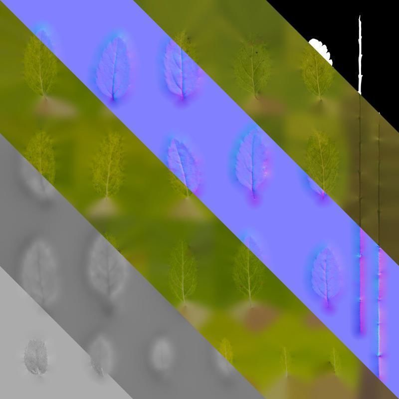 Anydrafts Veronica austriaca Leaf 01 Texture_8