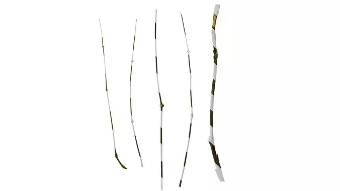 Anydrafts Nandina domestica Stem 01