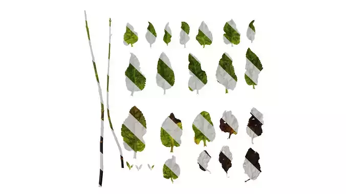 Anydrafts Veronica spicata blue Leaf 01