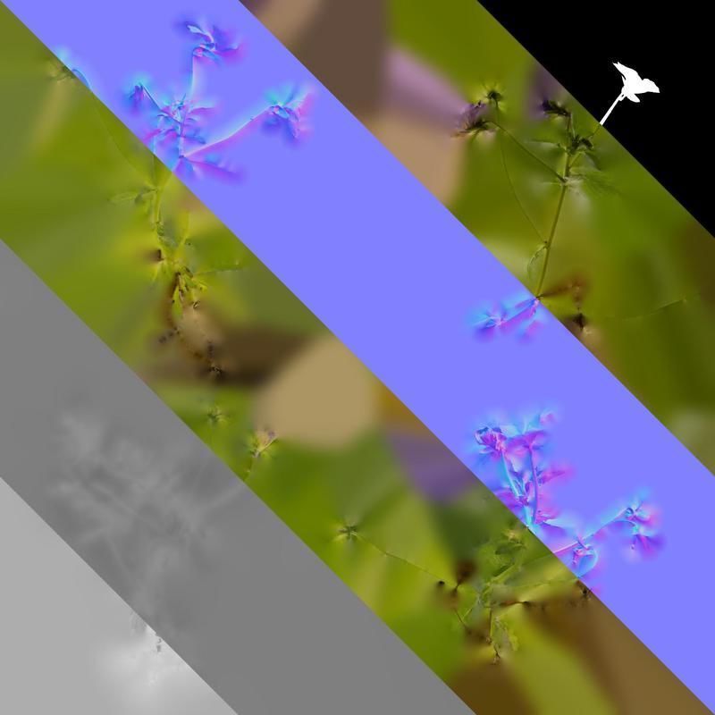 Anydrafts Viola cornuta Atlas 03 Texture_8