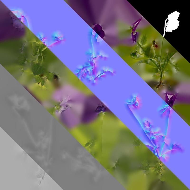 Anydrafts Viola cornuta Atlas 10 Texture_8