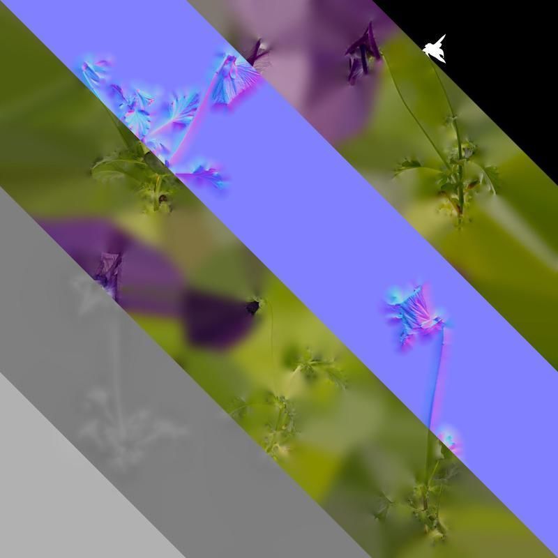 Anydrafts Viola cornuta Atlas 11 Texture_8