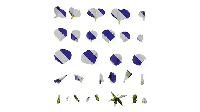 Anydrafts Viola cornuta Flower 01