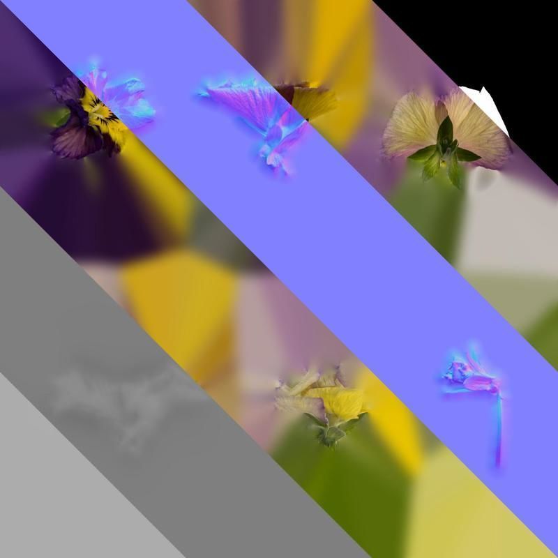 Anydrafts Viola cornuta Flower 09 Texture_8