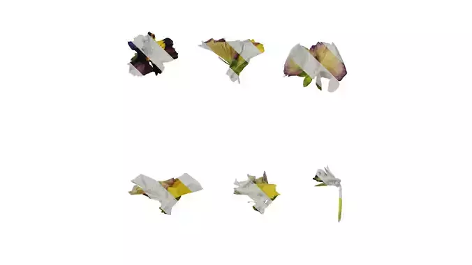 Anydrafts Viola cornuta Flower 09