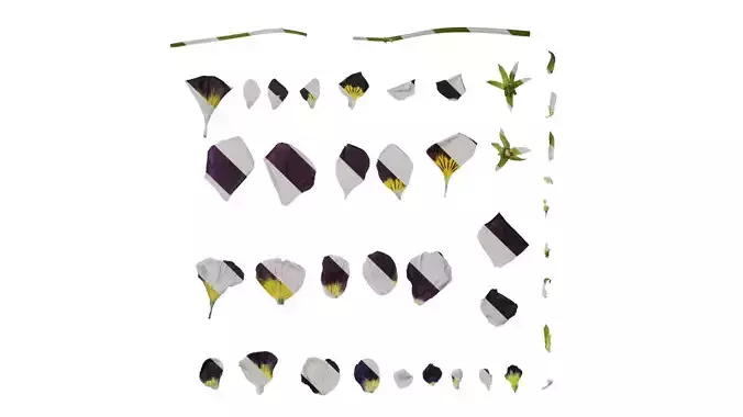 Anydrafts Viola cornuta Flower 12