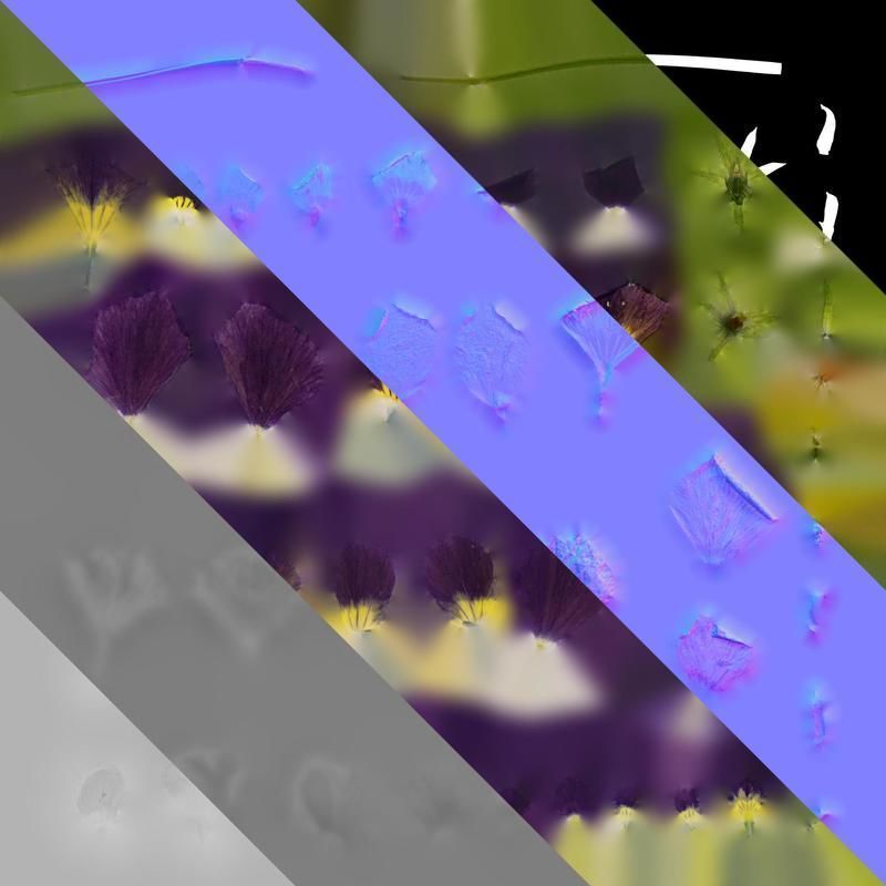 Anydrafts Viola cornuta Flower 12 Texture_8