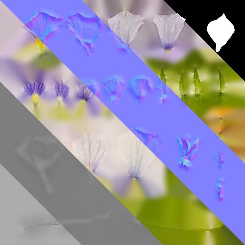 Anydrafts Viola cornuta Flower 13 Texture_8