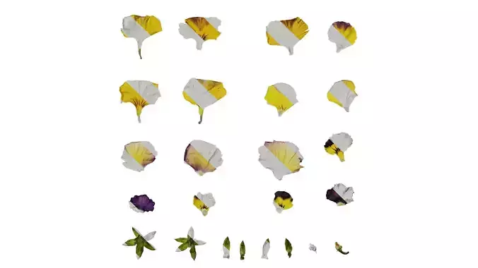 Anydrafts Viola cornuta Flower 14