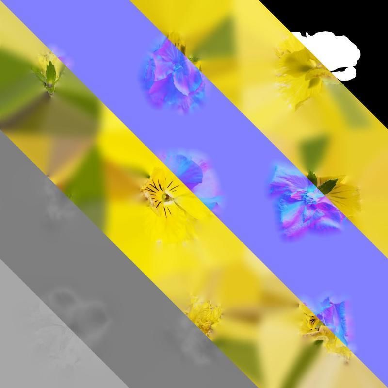 Anydrafts Viola tricolor Flower 04 Texture_8