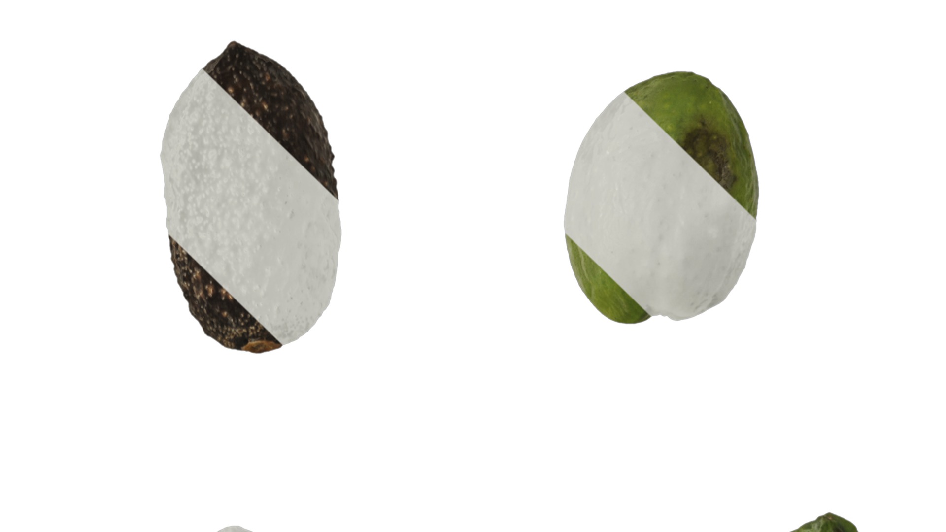 Anydrafts Olea europaea Atlas 19 Texture_1