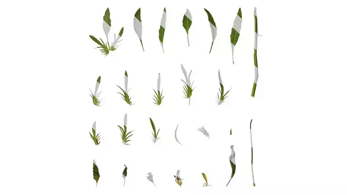 Anydrafts Viola tricolor Leaf 01