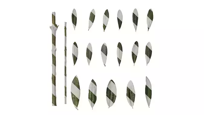 Anydrafts Olea europaea Leaf 03